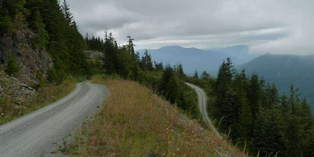 Explore miles of forest roads, photo by Martha Rasmussen