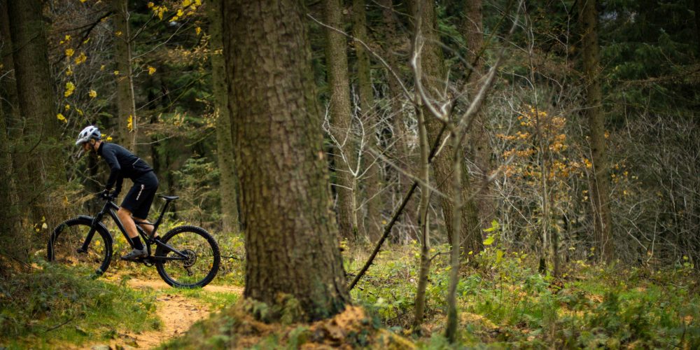 Discover the bicycle trails, forest roads and route