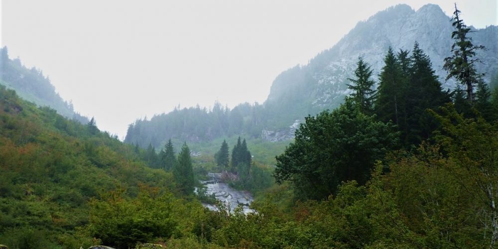 Looking up at Windy Pass, photo by Martha Rasmussen