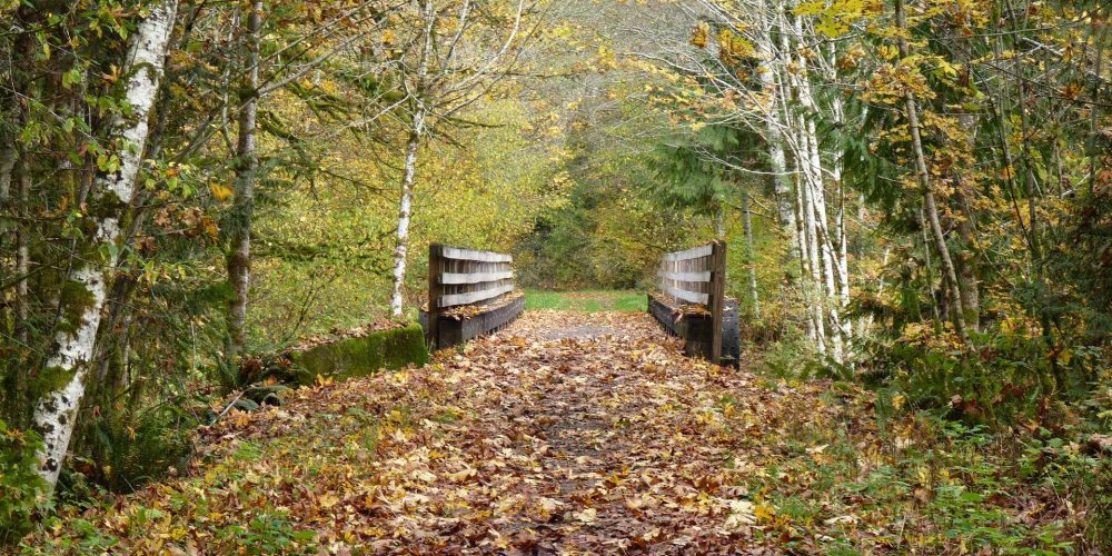 Coming up to Moose Creek Bridge, photo by Martha Rasmussen