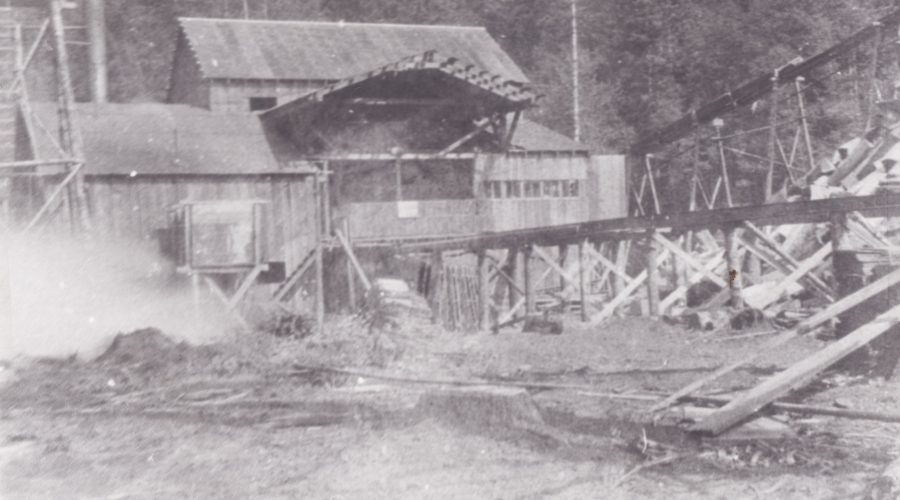 The second Bornite Mine Sawmill was located near Frog Lake