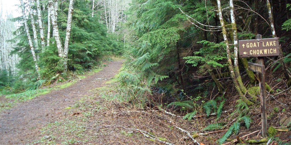 Coming up to the Junction of Goat Lake & Chockwich Falls Trails