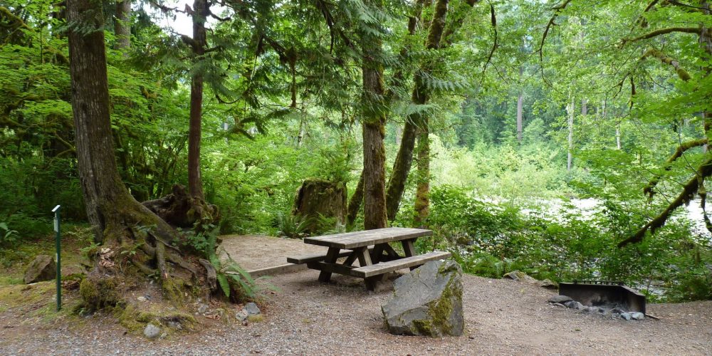 Campsite at Clear Creek Campground, photo by Martha Rasmussen
