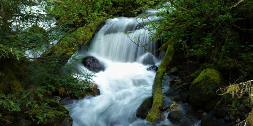 Beautiful Downey Creek. photo by Nels Rasmussen