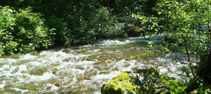 French Creek, photo by Martha Rasmussen French Creek, photo by Martha Rasmussen