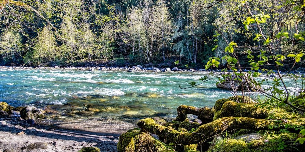 Raft launch at park, photo by Joanne Perry Ruth