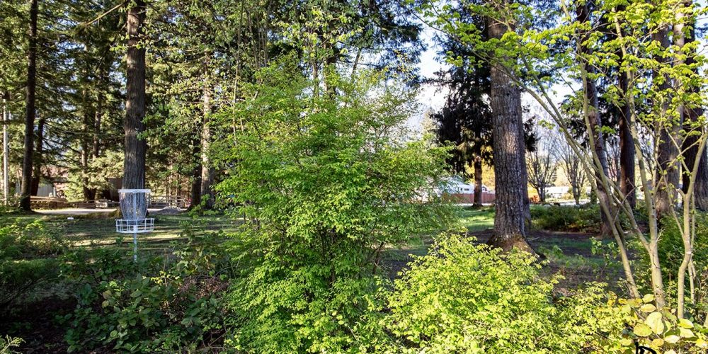 Frisbee Golf at the park, photo by Joanne Perry Ruth