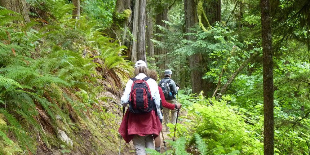 Hiking the Suiattle River Trail, photo by Nels Rasmussen