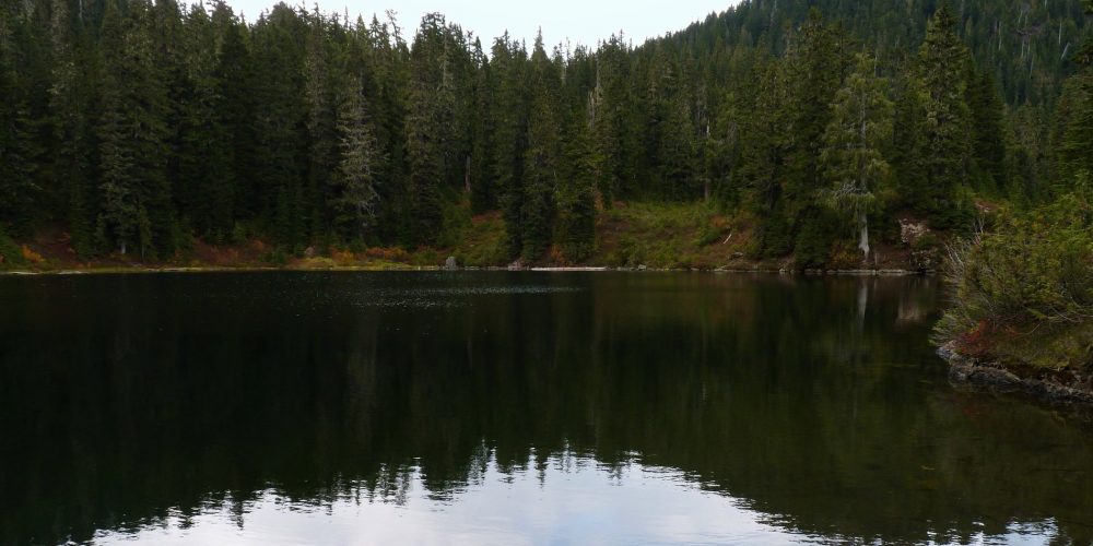 Reflections of Tupso Lake, photo by Martha Rasmussen