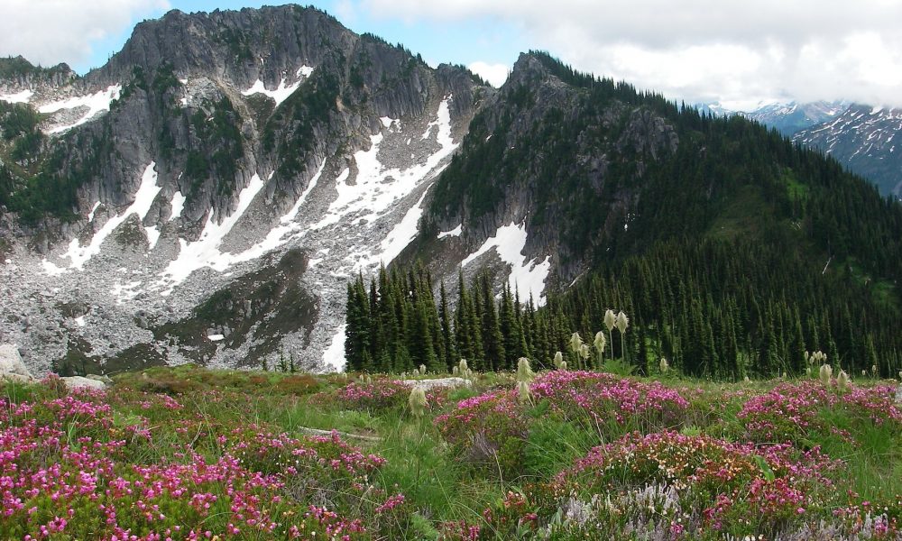 Sulphur Mountain - True Summit, photo by Kim Brown