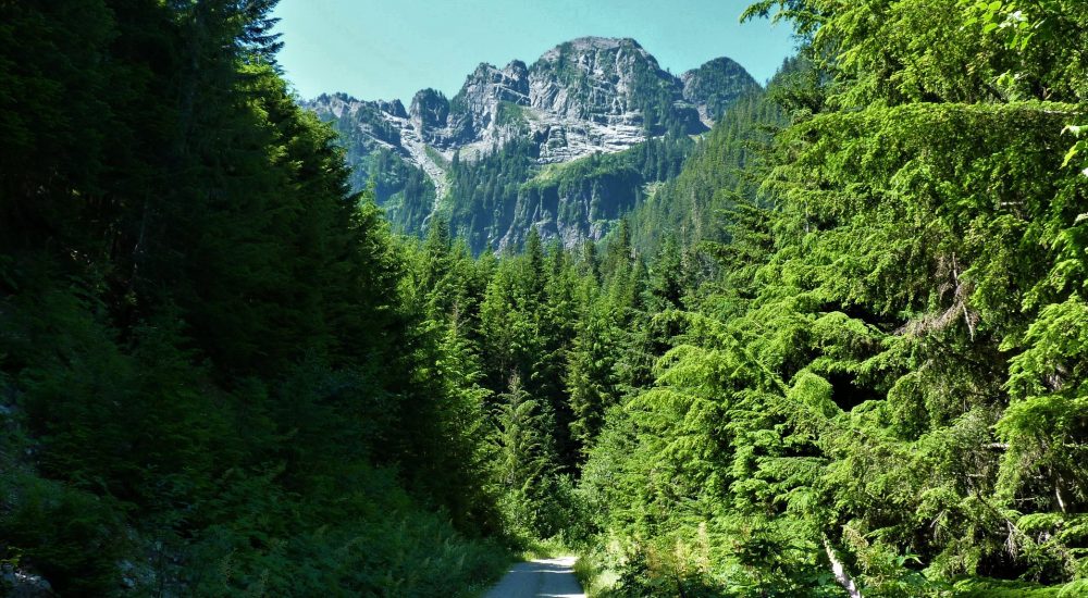 White Chuck Mountain from Rat Trap Pass Road, photo by Martha Rasmussen