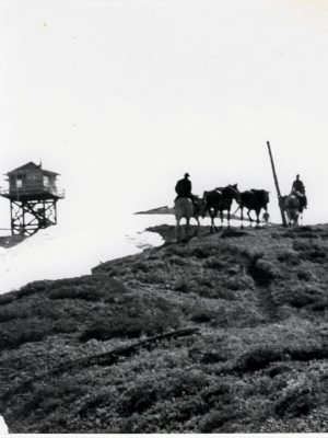 Pack Train to Miners Ridge, photo USFS