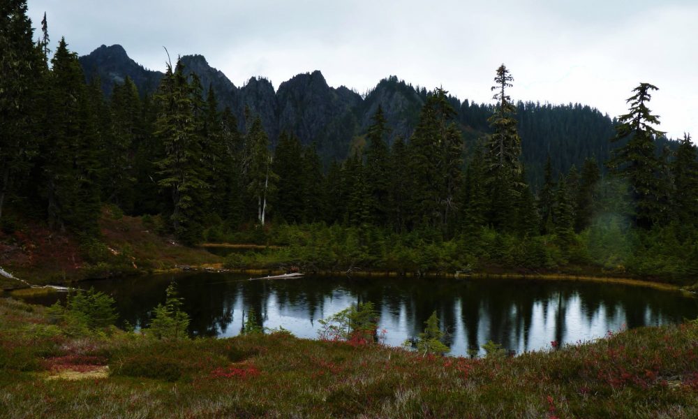 Alpine tarn and Illabot Peaks